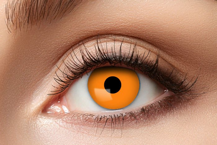 Productafbeelding 1